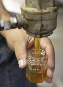 A small jar is filled with honey at Marshall's Farm Honey in American Canyon, Calif., on July 22, 2014.