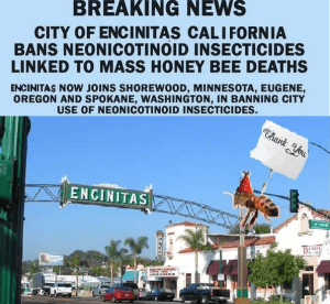 Encinitas ends the use of neonicitinoids on public property