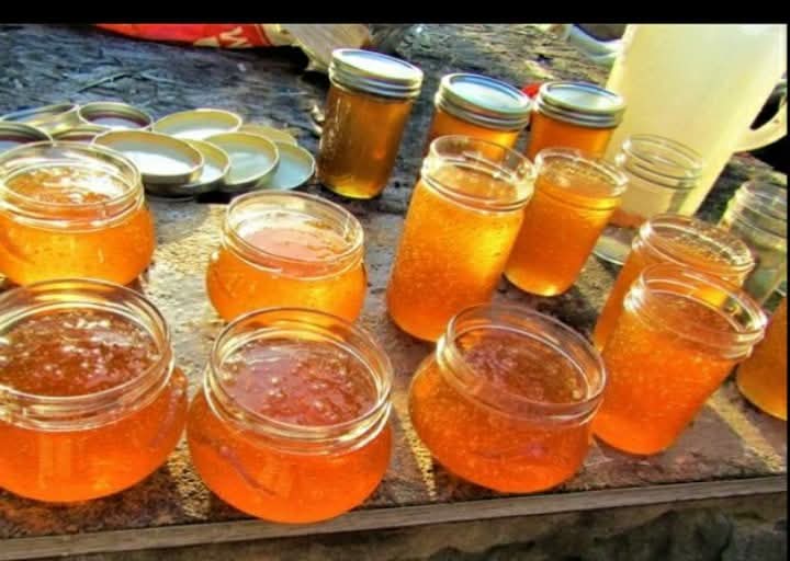 Various jars filled with bright orange jelly arranged on a wooden surface.
